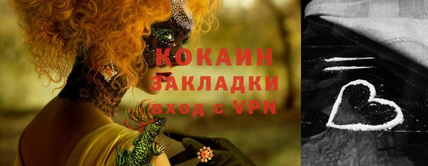 прущая мука Вяземский