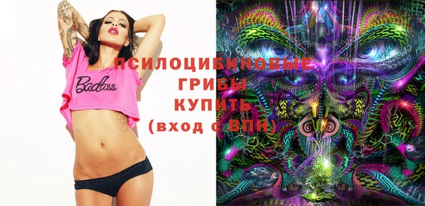 шишки Абдулино