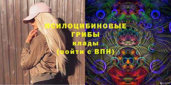 шишки Абдулино