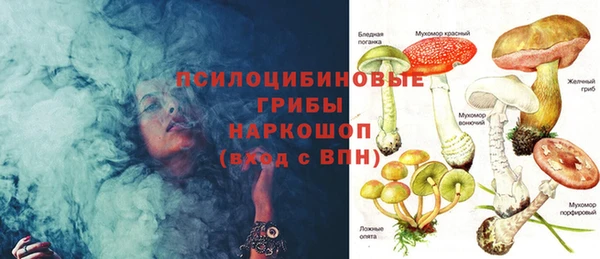 шишки Абдулино